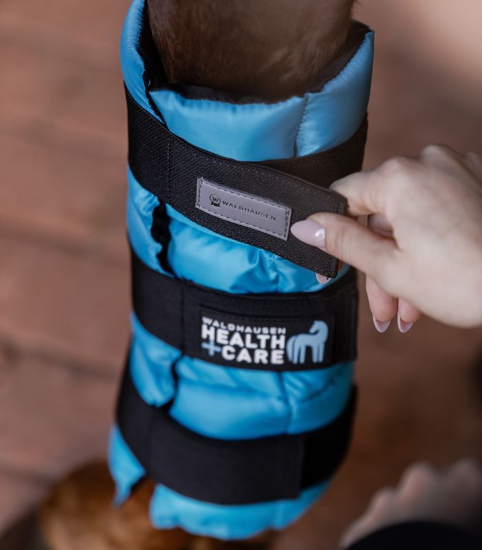 Stinchiere Rinfrescanti Waldhausen - Terapia del Freddo per Cavalli | El gaucho sport