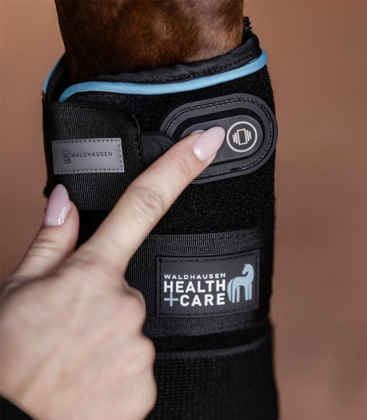 Stinchiera Waldhausen Health + Care – Guarigione e Protezione per il Tuo Cavallo