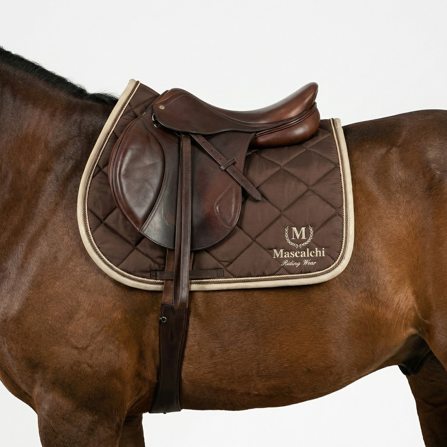 Sottosella CHARLOTTE | El gaucho sport