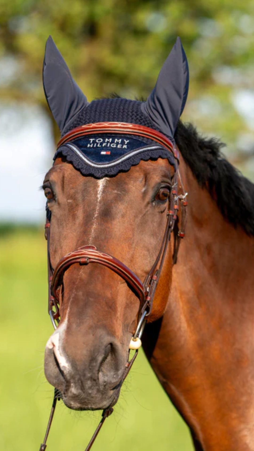 Nuova Cuffietta Tommy Hilfiger all'Uncinetto WINDSOR DESERT SKY - Stile e Comfort per il Tuo Cavallo