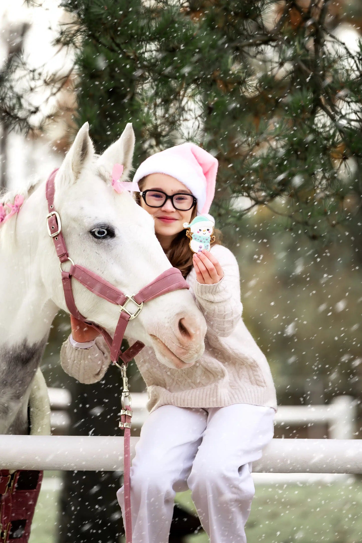 Biscotto PUPAZZO DI NEVE - XMAS EDITION