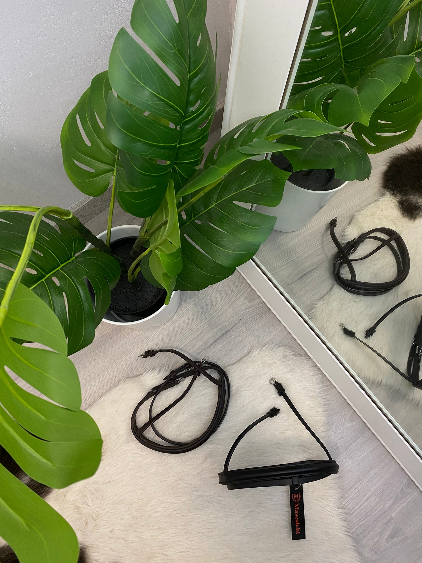 Noseband with noseband