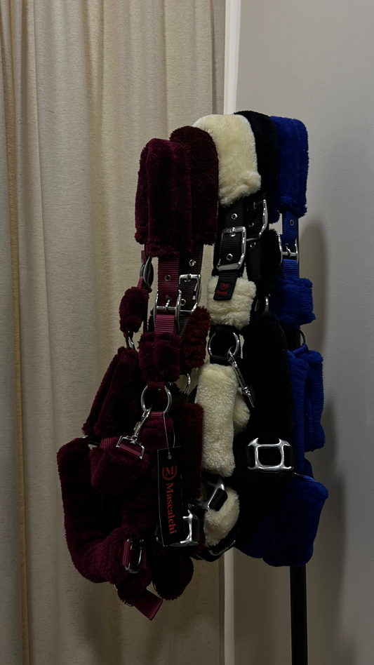 Capezza BEAR | Mascalchi | El gaucho sport