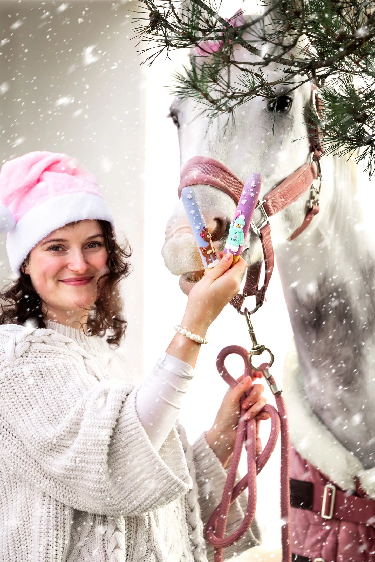 Box 6 sticks - XMAS EDITION