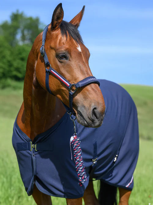 Longhina Yale – Tommy Hilfiger Equestrian per Cavalli | El Gaucho Sport