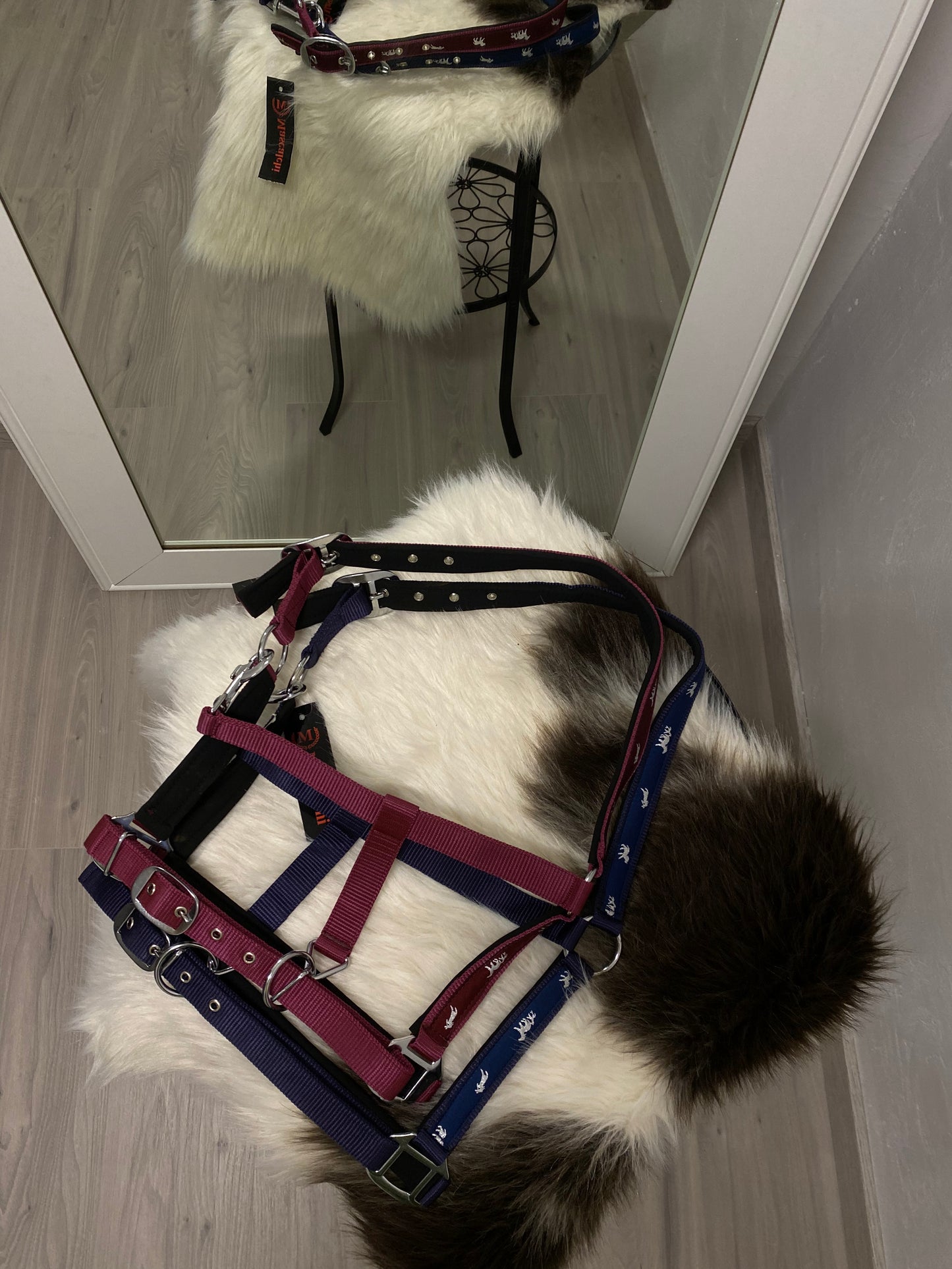 Capezza VARENNE Mascalchi: Stile, Comfort e Funzionalità per il Tuo Cavallo