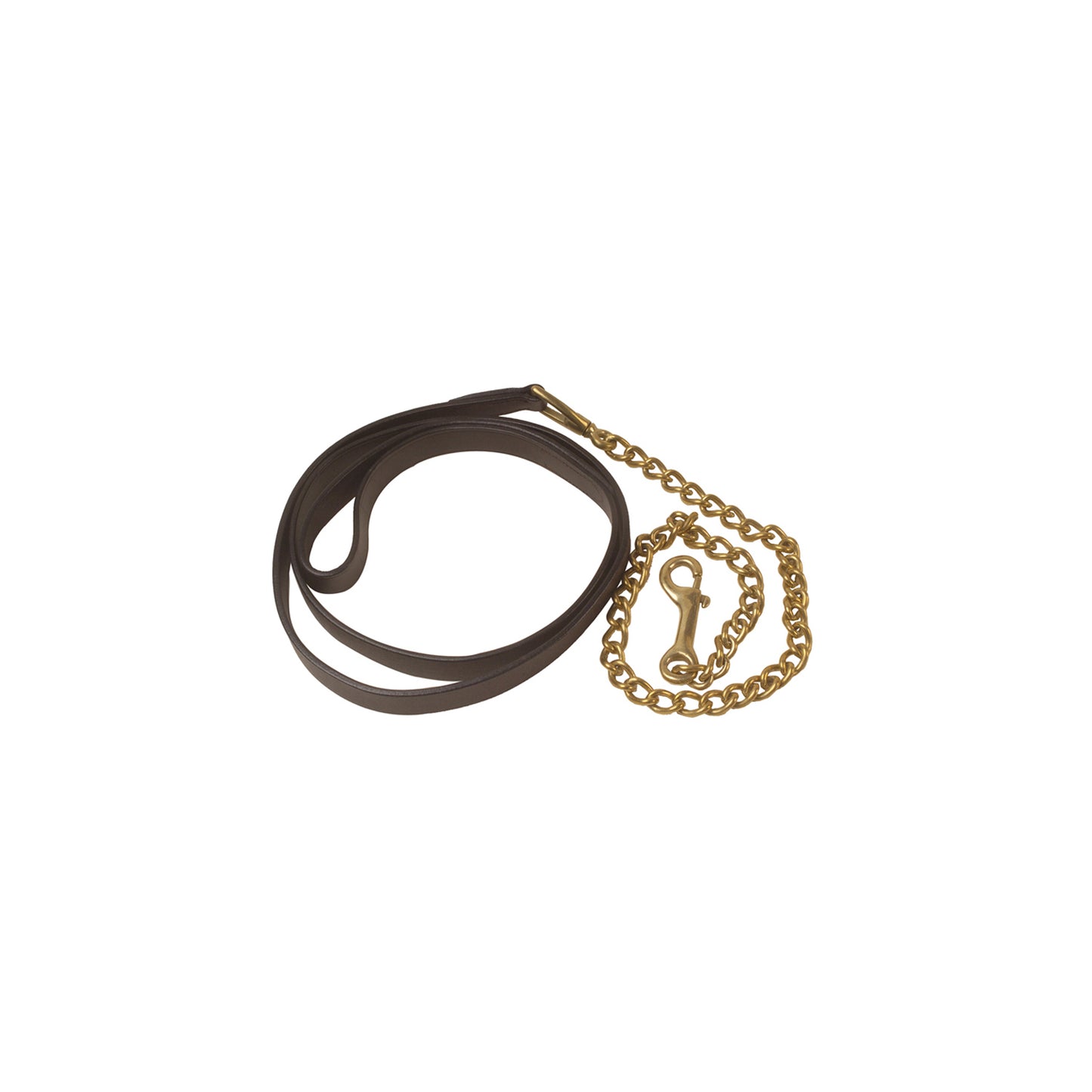 Leather/Chain lead