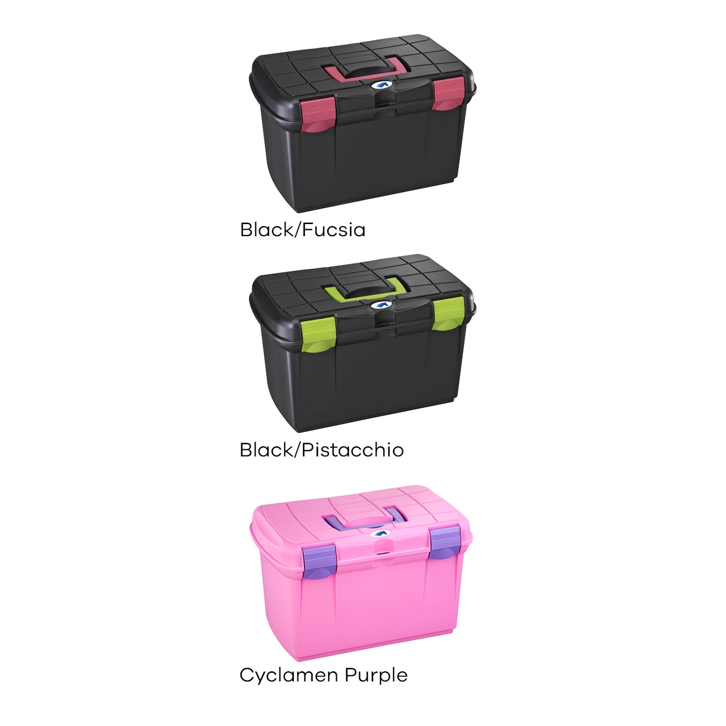 Bauletto Pony | Umbria Equitazione | El gaucho sport