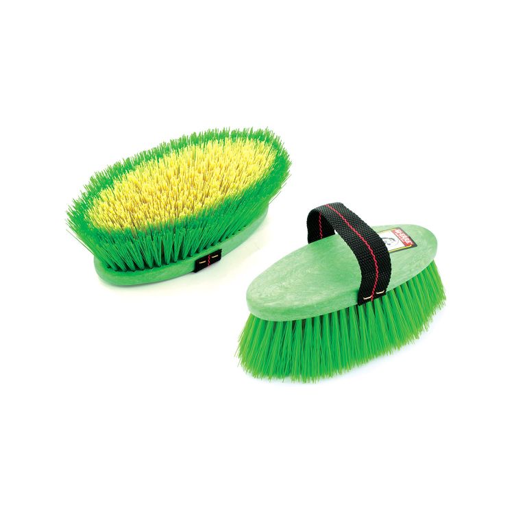 Brusca setole alte | Umbria Equitazione | El gaucho sport