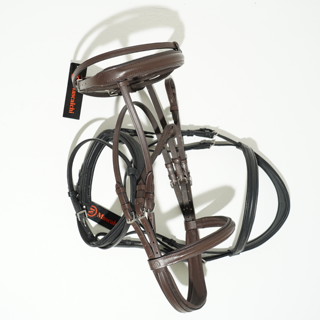 Testiera "RHEA" | El gaucho sport