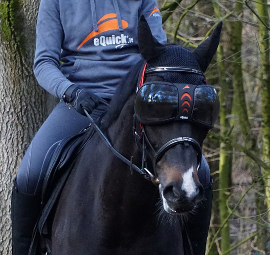 Occhiali EVYSOR | eQuick | El gaucho sport