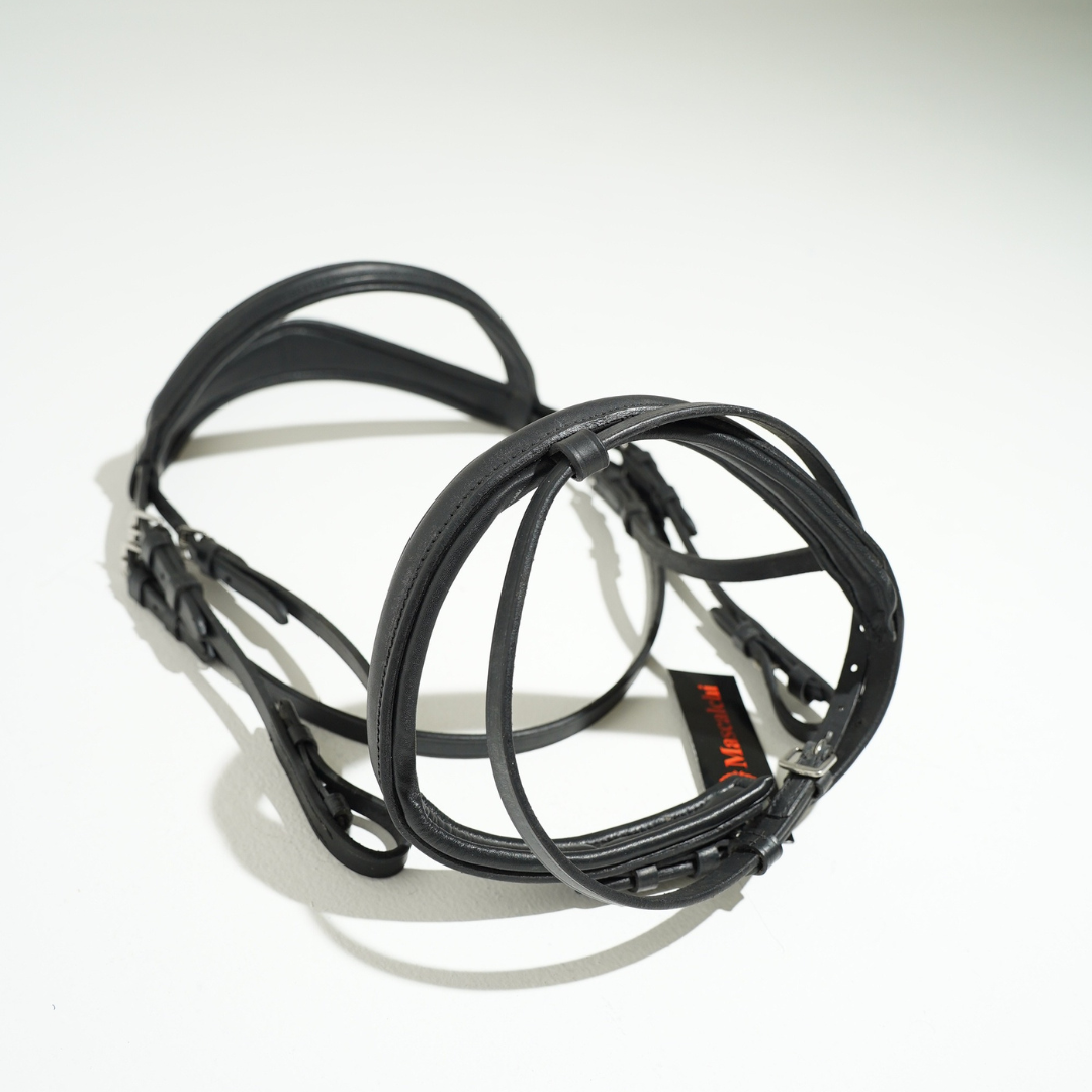 Testiera "RHEA" | El gaucho sport