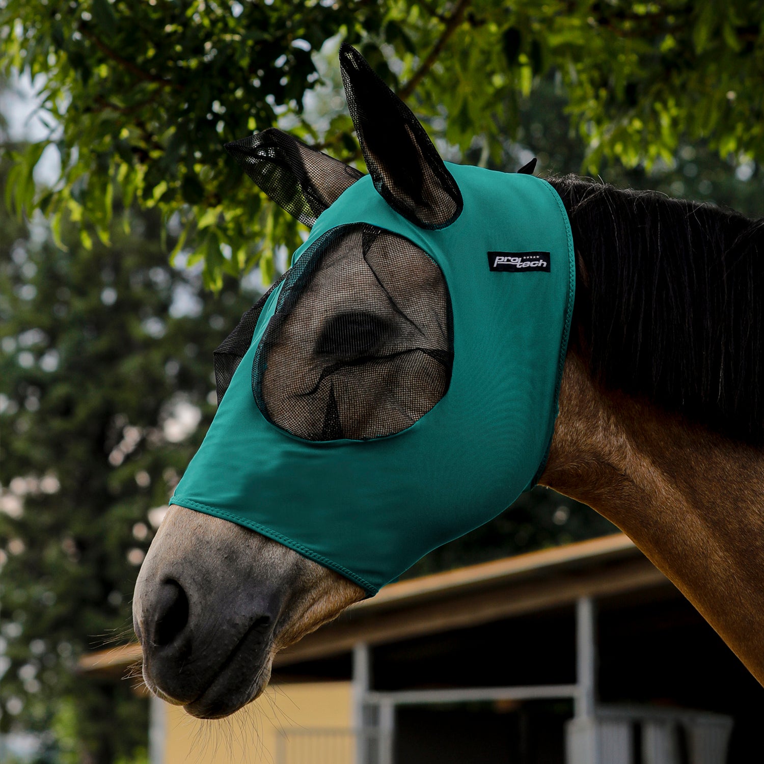 Maschera antimosche per cavalli modello Amalfi con orecchie in rete traspirante: Pony, nero Maschera antimosche per cavalli modello Amalfi con orecchie in rete traspirante: Pony, nero