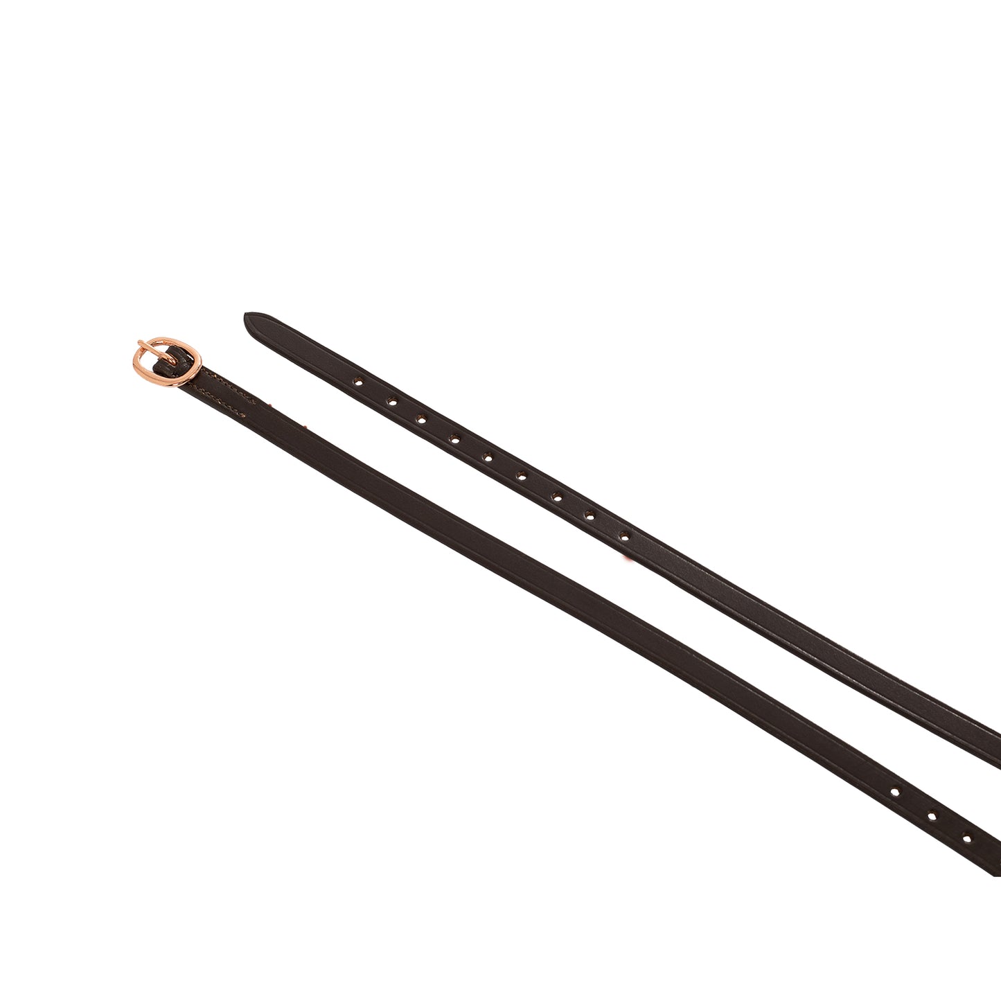 Lacciolini Speroni "Rose Gold" | Equestro | El gaucho store