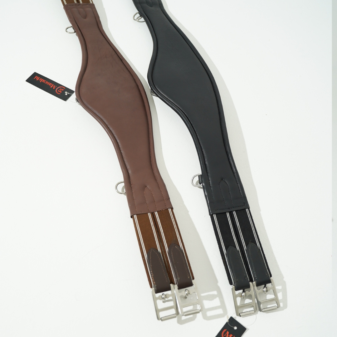 Nuovo Sottopancia NORWICH | El gaucho sport