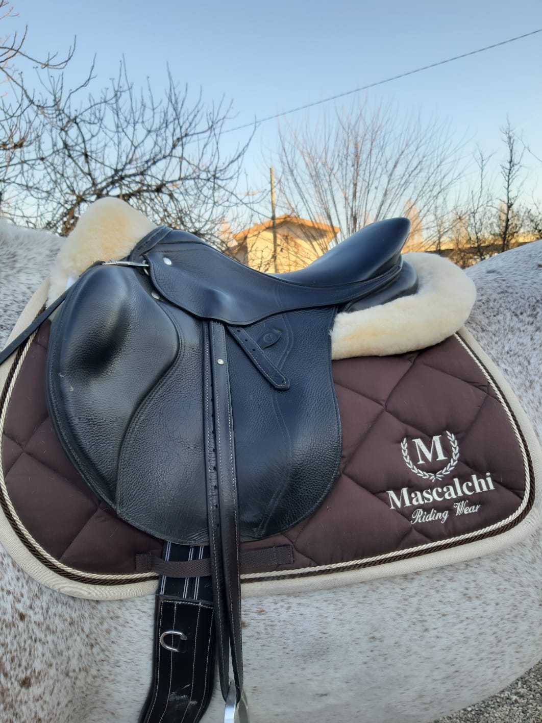 Sottosella CHARLOTTE | El gaucho sport