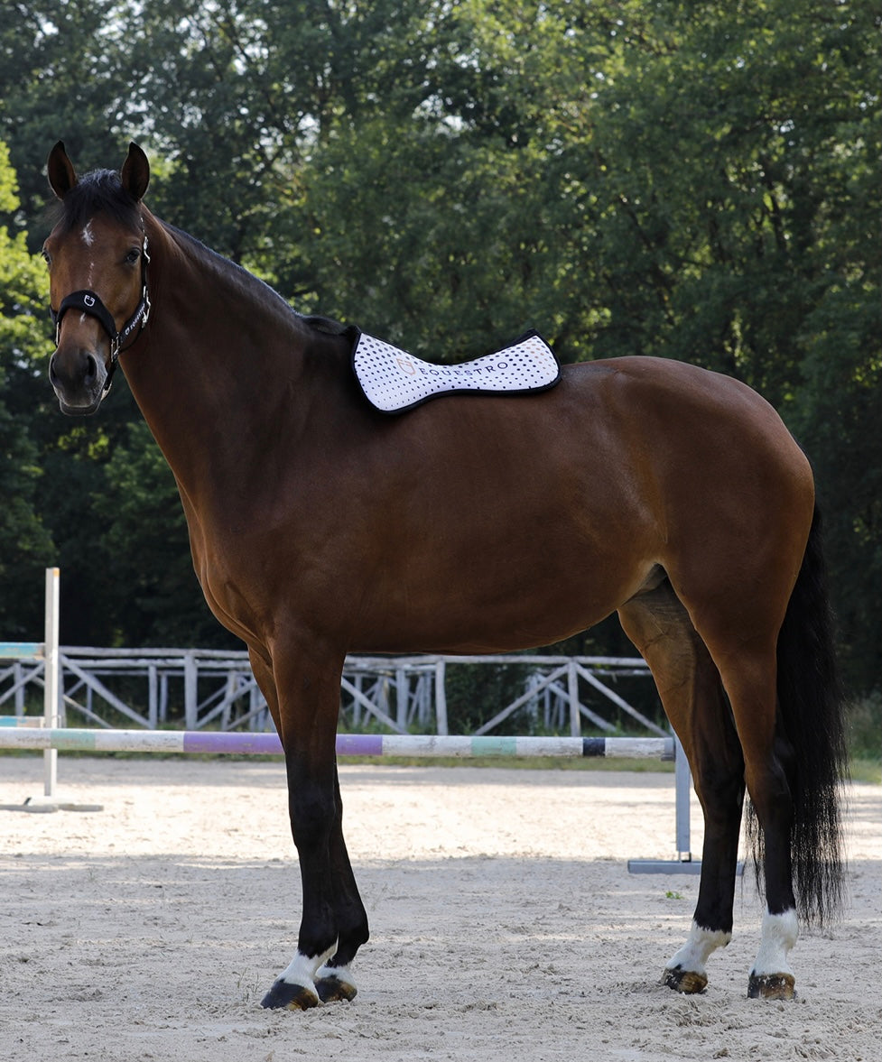 Compensatore In Memory Foam | Equestro | El gaucho sport