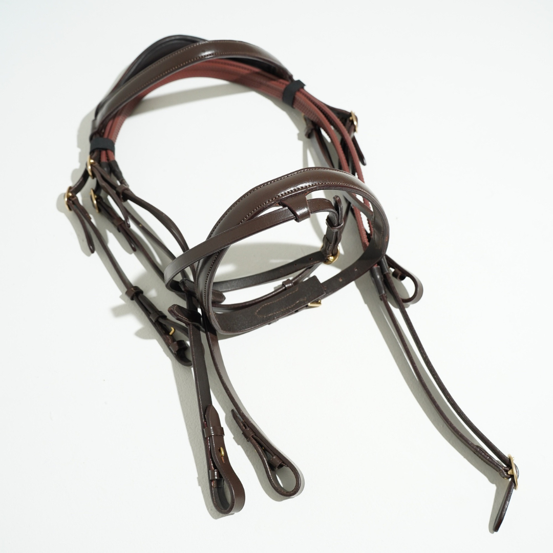 Nuova Testiera "CAMERON" | El gaucho sport