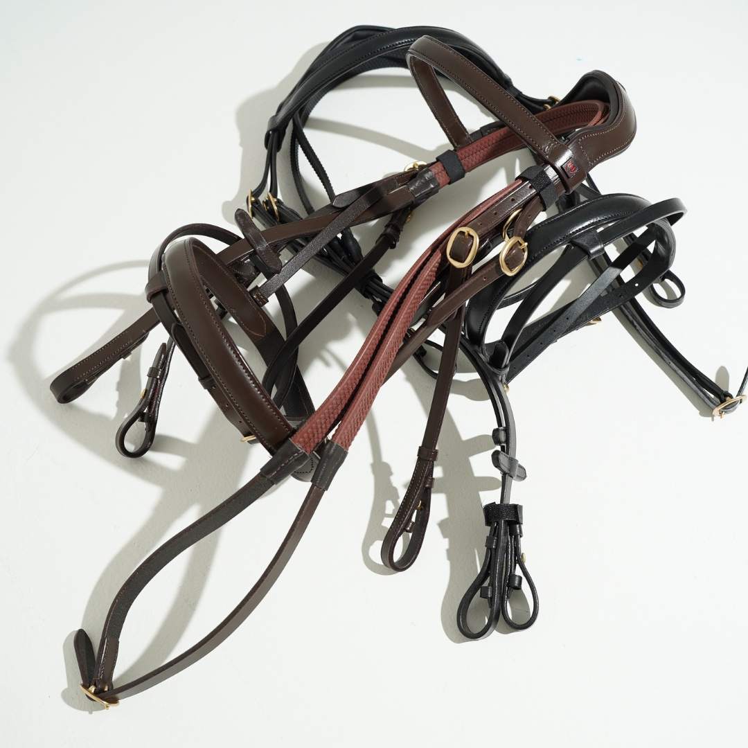 Nuova Testiera "CAMERON" | El gaucho sport