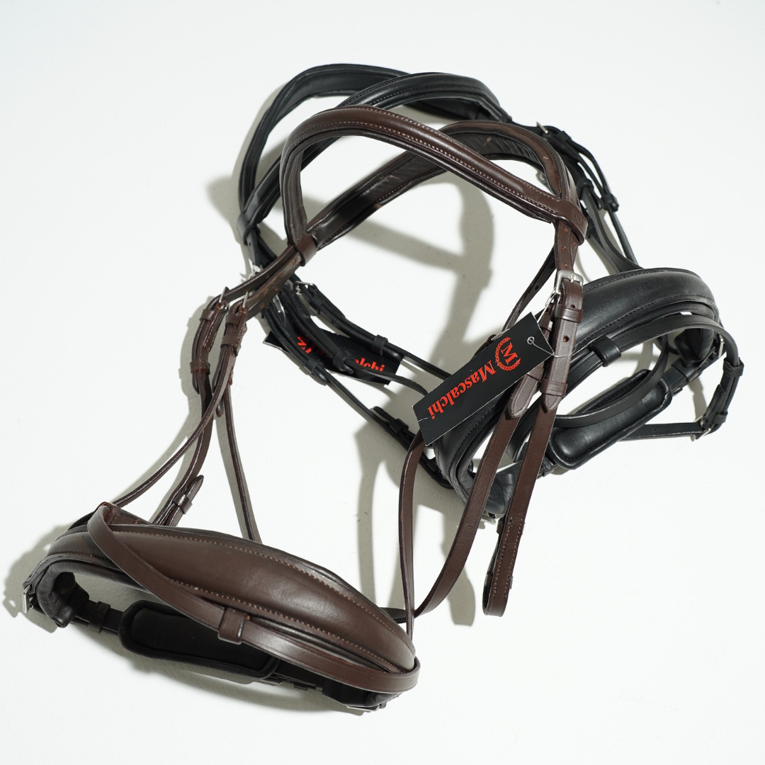 Nuova Testiera "BLAKE" | El gaucho sport