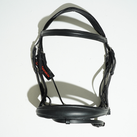 Nuova Testiera "BLAKE" | El gaucho sport