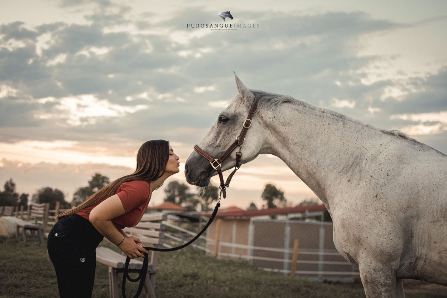 Mangiatoie per Cavalli | El Gaucho Sport