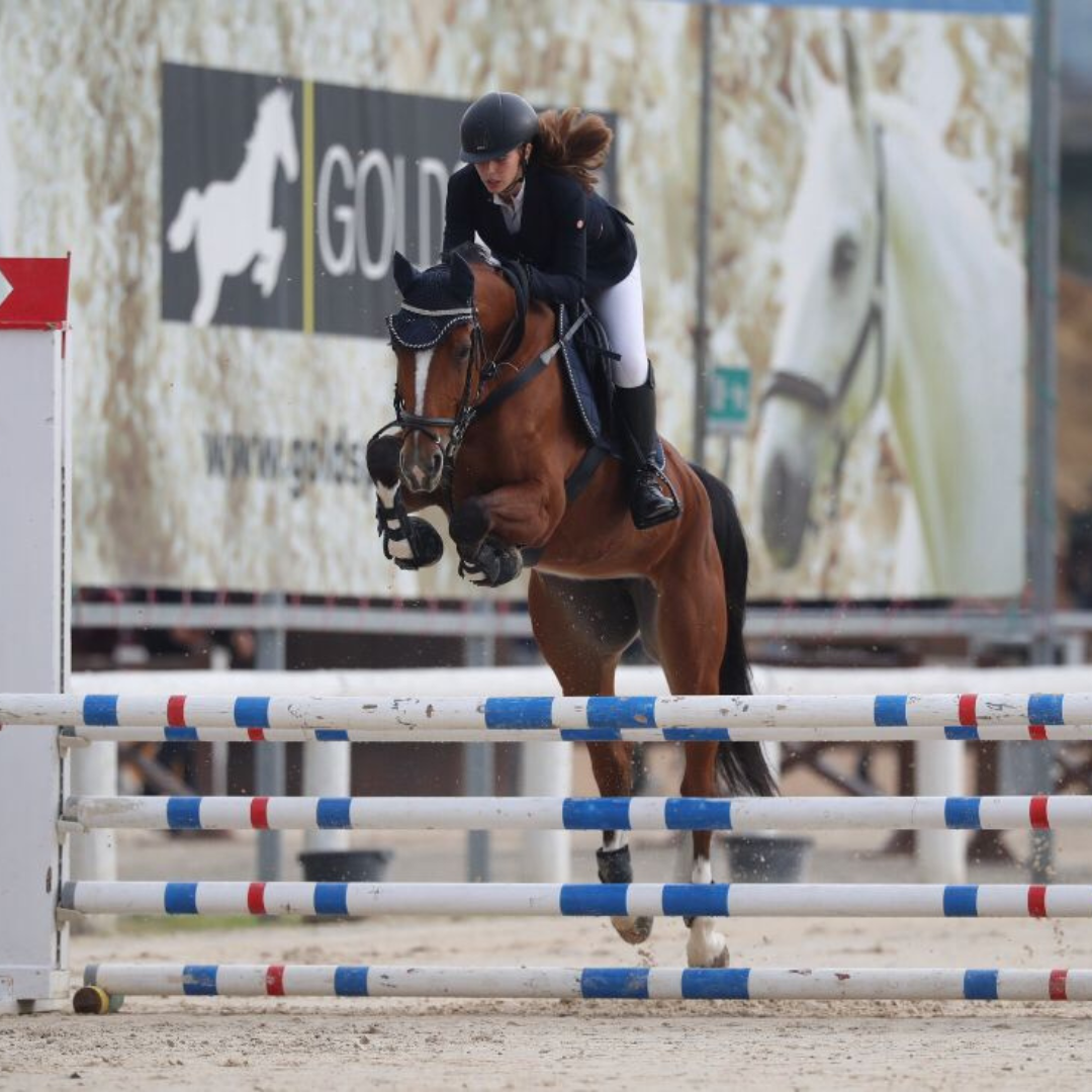 Cura del Cavallo - Prodotti di Qualità per il Benessere e la Salute | El Gaucho Sport