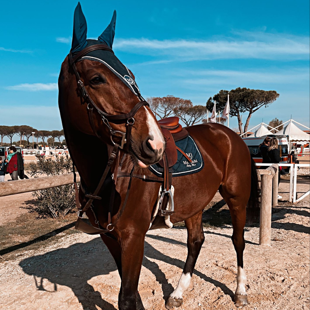 Cassoni per Scuderia e Stalla - Robusti e Funzionali | El Gaucho Sport