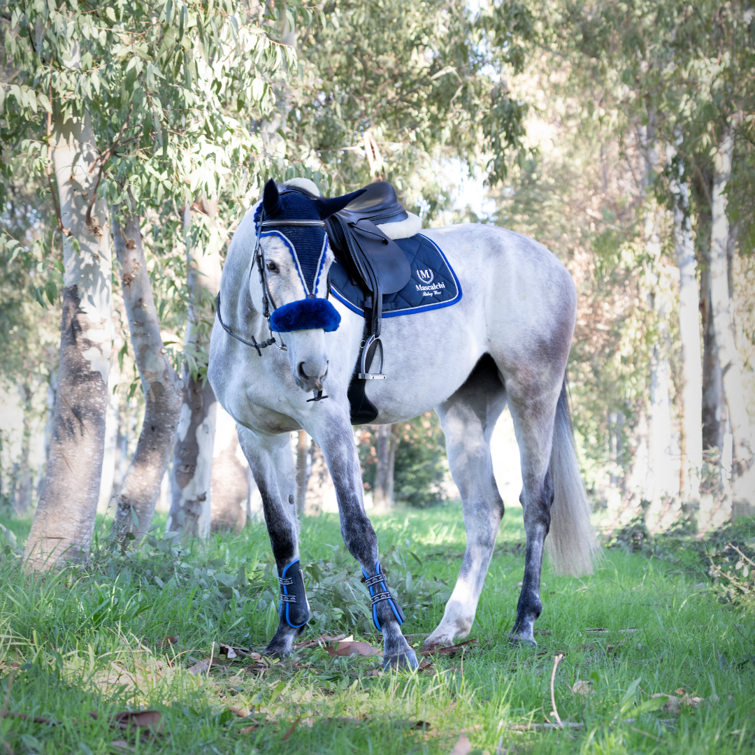 Fruste e Frustini per l'equitazione | El Gaucho Sport