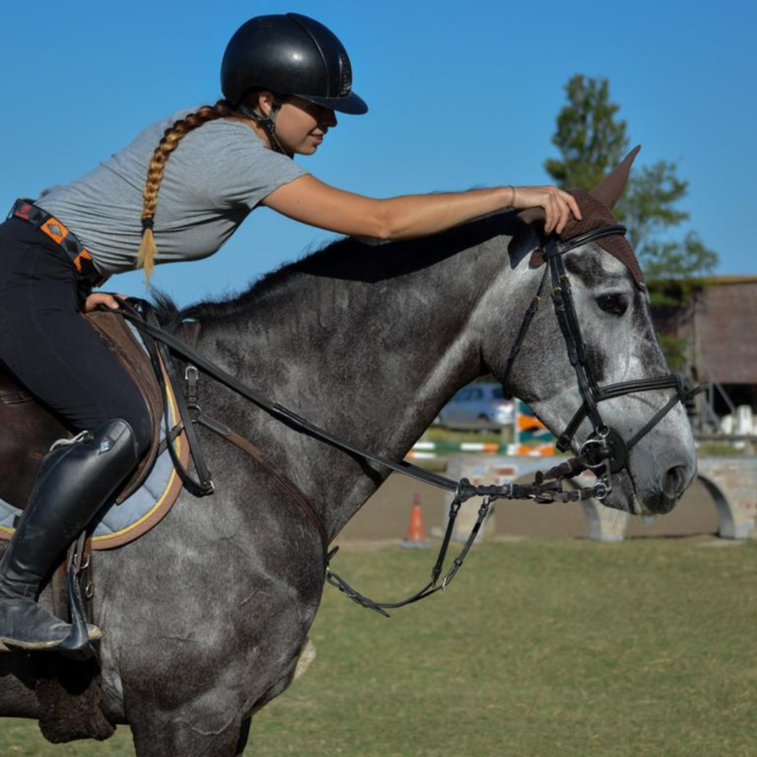 Accessori per il Cura del Cavallo | Collezione di accessori per il grooming su El Gaucho Sport