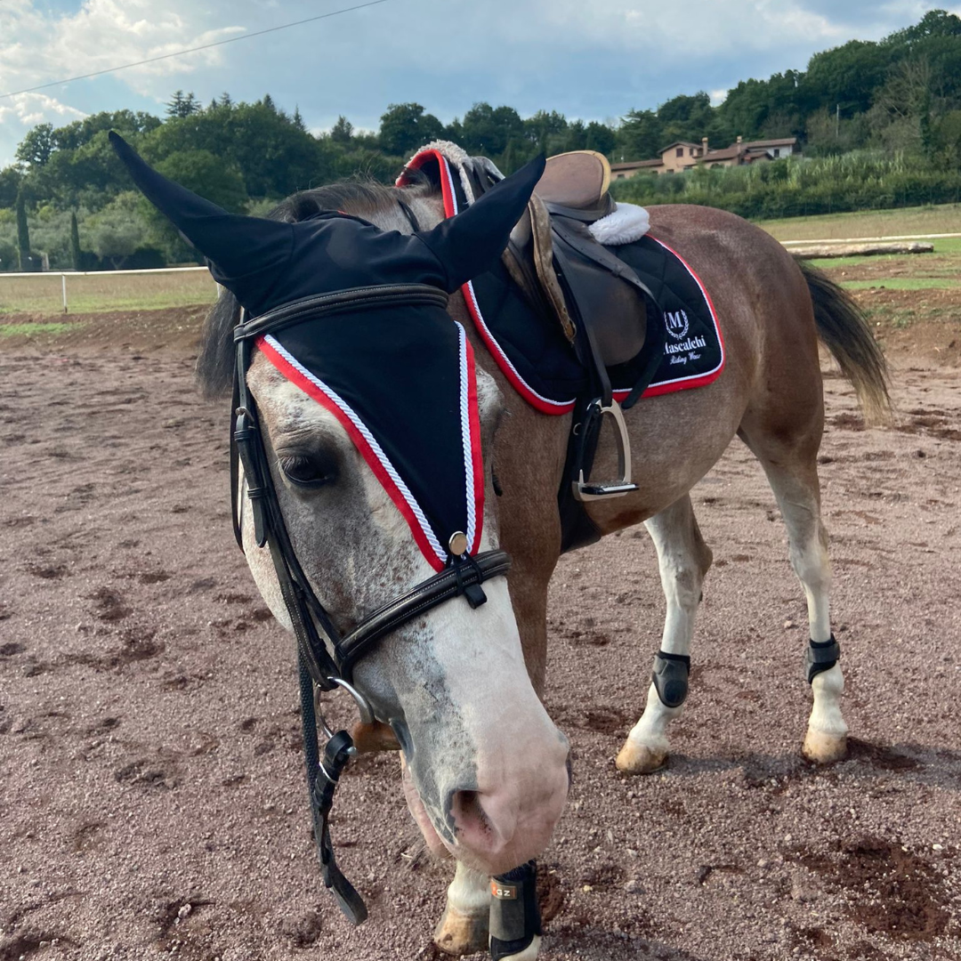 Sottopancia per Dressage | El Gaucho Sport