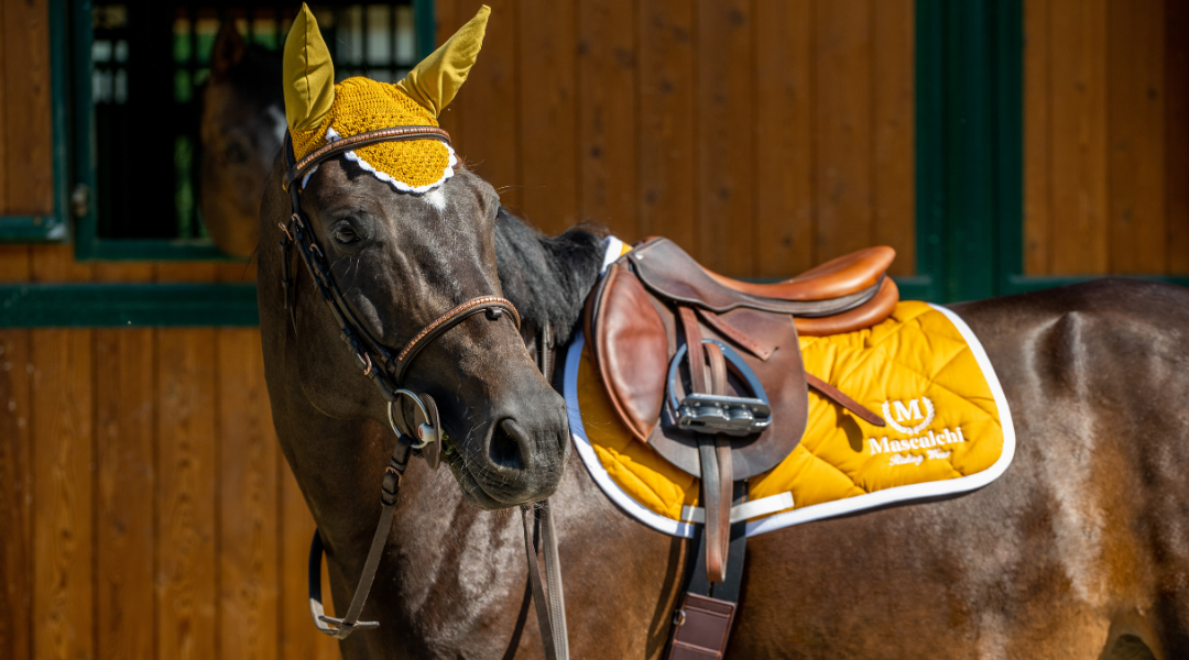 Sottopancia per Selle | El Gaucho Sport