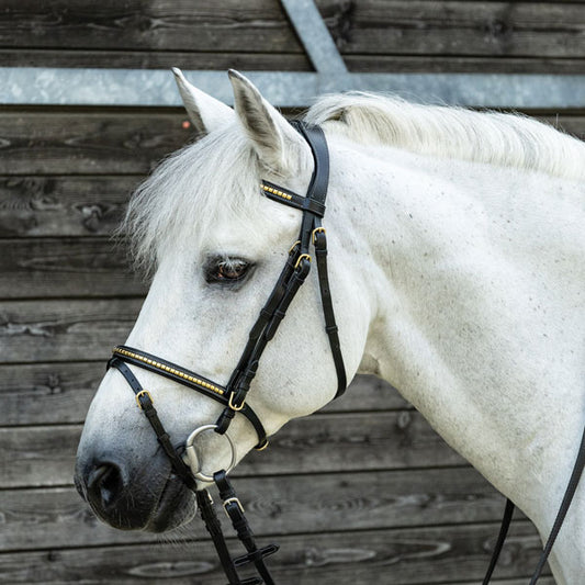 Testiera con clincher oro