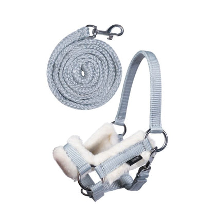 Cavezza e lunghina hobby horse