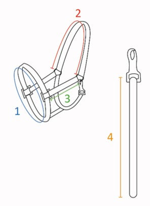 Cavezza e longhina Hobby Horseing | El gaucho sport