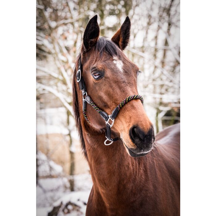 Capezza Cavallo Neonflash – Nylon Resistente & Colori Fluorescenti