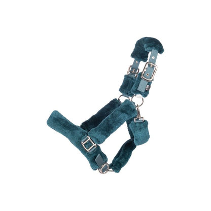 Capezza Teddy
