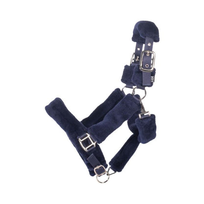 Capezza Teddy