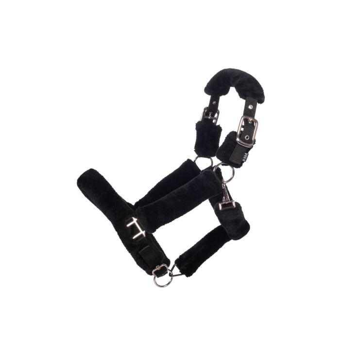 Capezza Teddy  | El gaucho sport