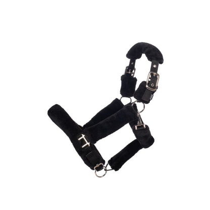 Capezza Teddy  | El gaucho sport