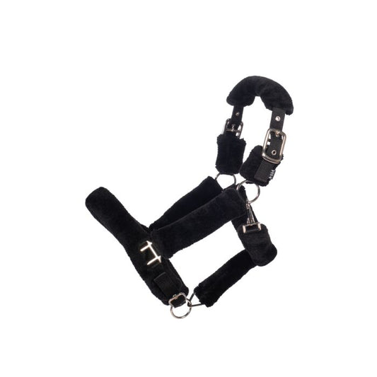 Capezza Teddy  | El gaucho sport