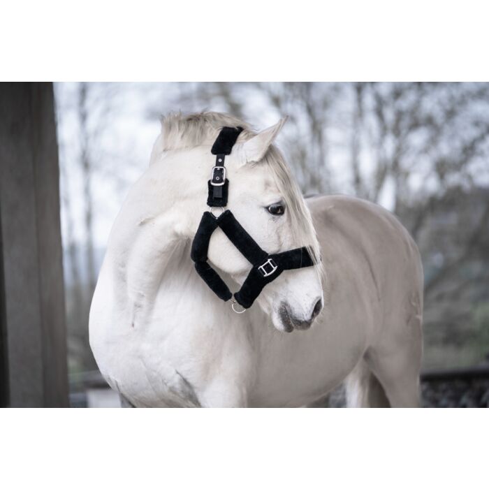 Capezza Teddy  | El gaucho sport