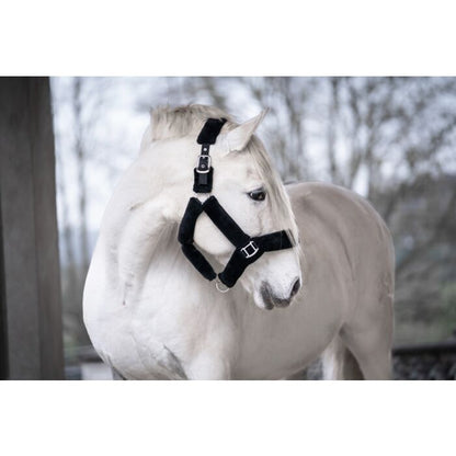 Capezza Teddy  | El gaucho sport