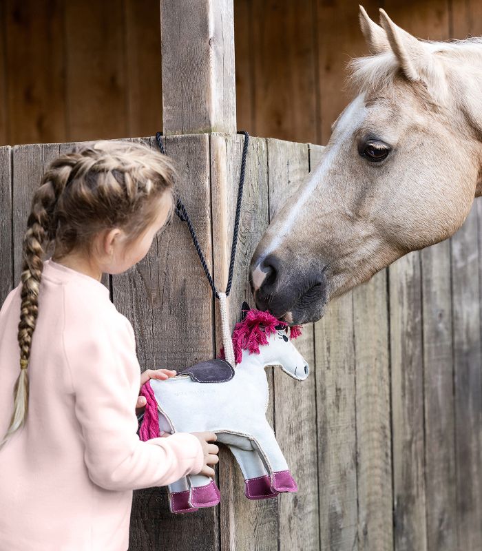 Gioco per cavalli Unicorno Emily | El gaucho sport