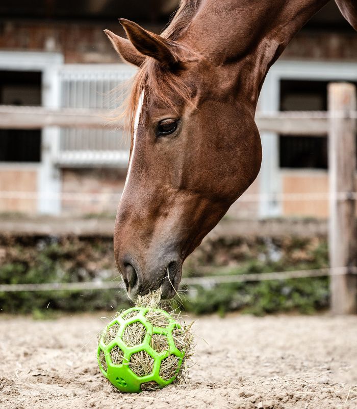 Palla di fieno | El gaucho sport