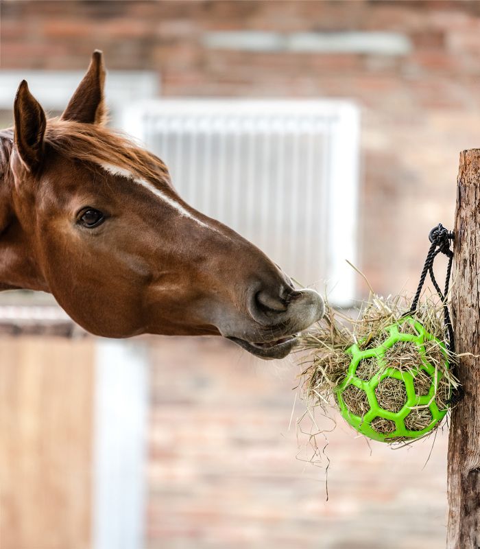 Palla di fieno | El gaucho sport