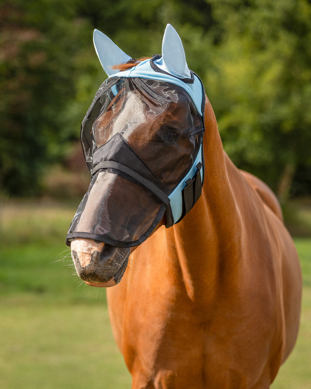 Maschera antimosche con paranaso removibile qhp | El gaucho sport