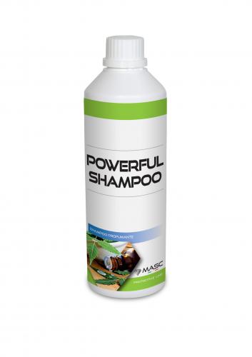 Powerful Shampoo 500 ml | Masc | El gaucho store