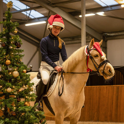 Cappellino di natale per cavalli