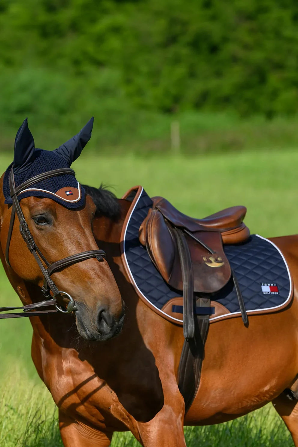 Sottosella da salto Princeton PINE – Tommy Hilfiger Equestrian